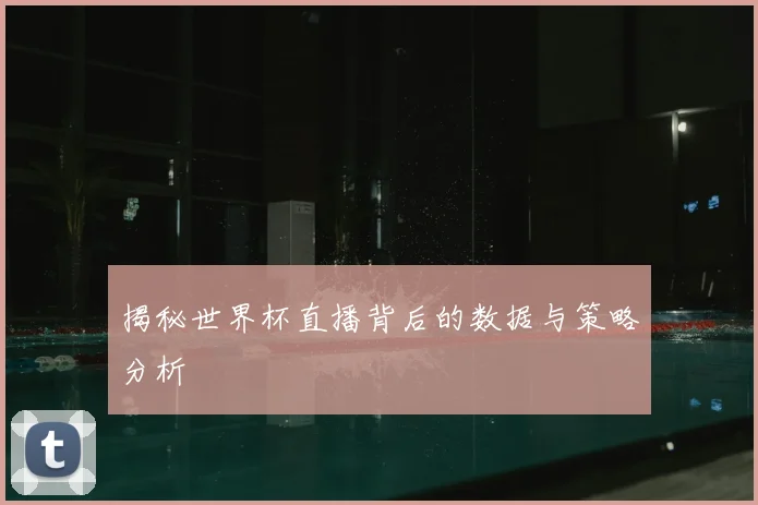 揭秘世界杯直播背后的数据与策略分析