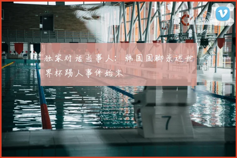 独家对话当事人：韩国国脚亲述世界杯踢人事件始末