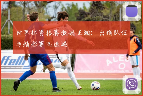世界杯资格赛激战正酣：出线队伍与精彩赛况速递